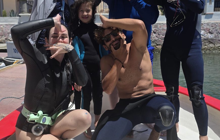 Nado con tiburón ballena y buceo con lobos marinos